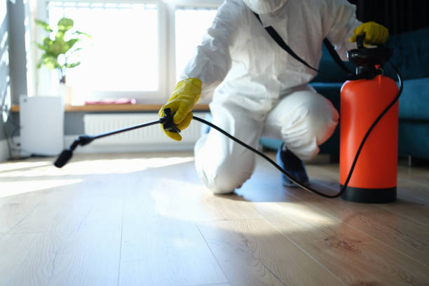 Reliable Hoarding Cleanup contractor in Georgetown, OH by Trauma Clean Pros